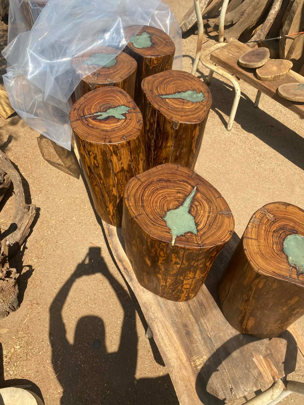 Ocotillo wood rounds with turquoise resin inlays, showing rich grain patterns